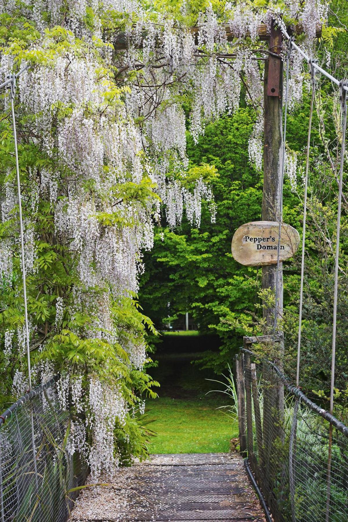 ストラトフォード Tepopo Gardens Rural Retreatヴィラ エクステリア 写真