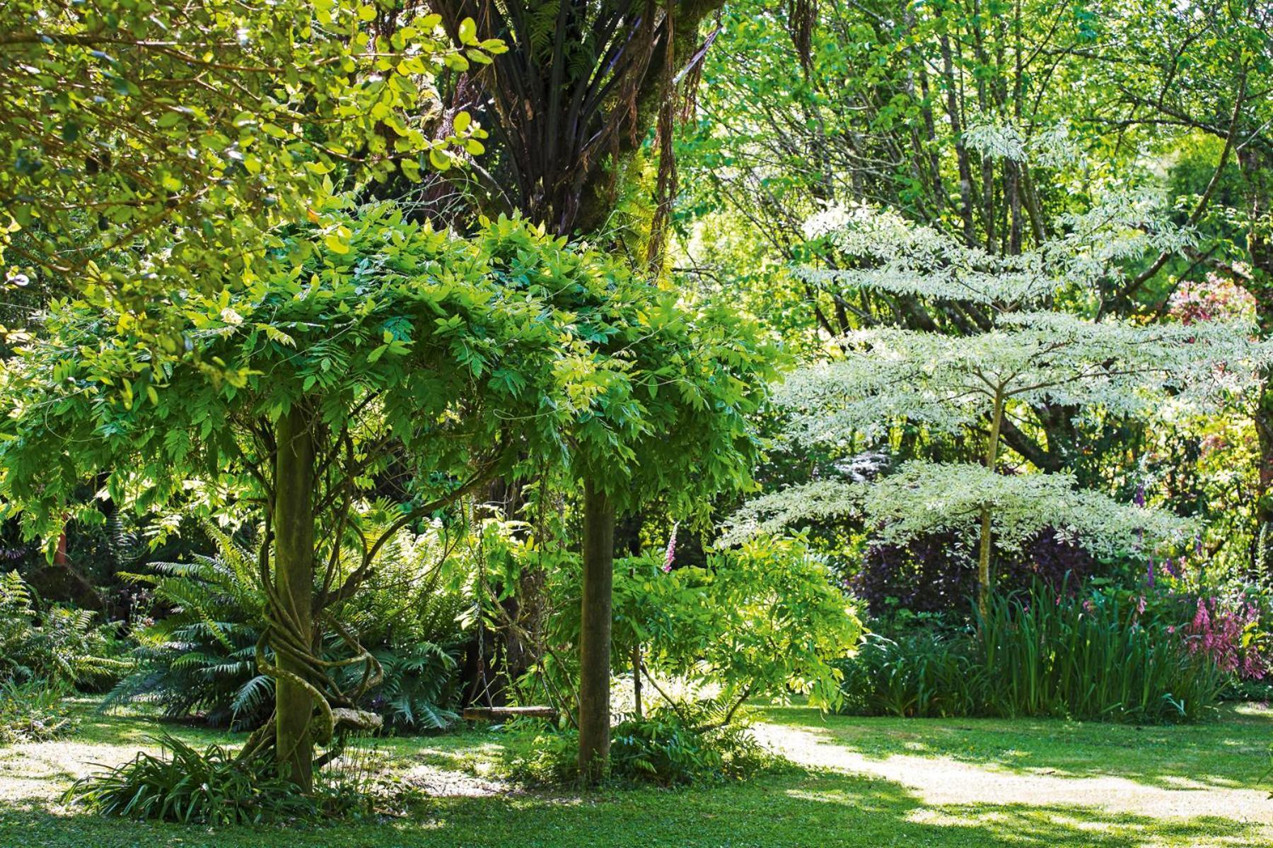 ストラトフォード Tepopo Gardens Rural Retreatヴィラ エクステリア 写真