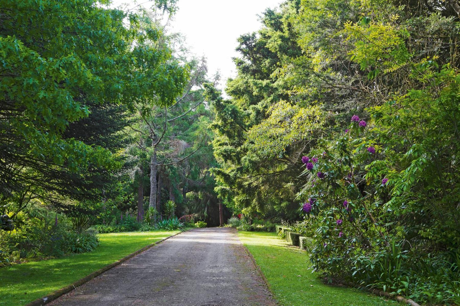 ストラトフォード Tepopo Gardens Rural Retreatヴィラ エクステリア 写真