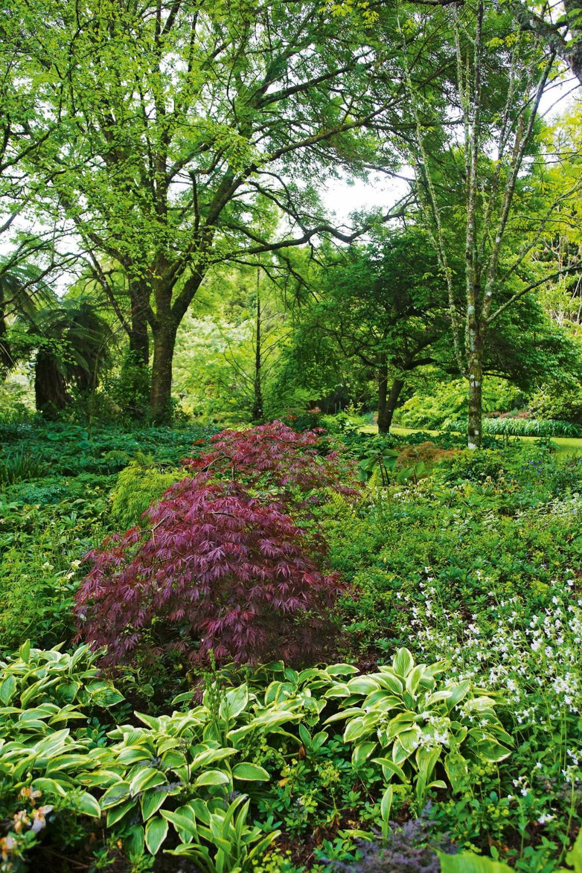 ストラトフォード Tepopo Gardens Rural Retreatヴィラ エクステリア 写真