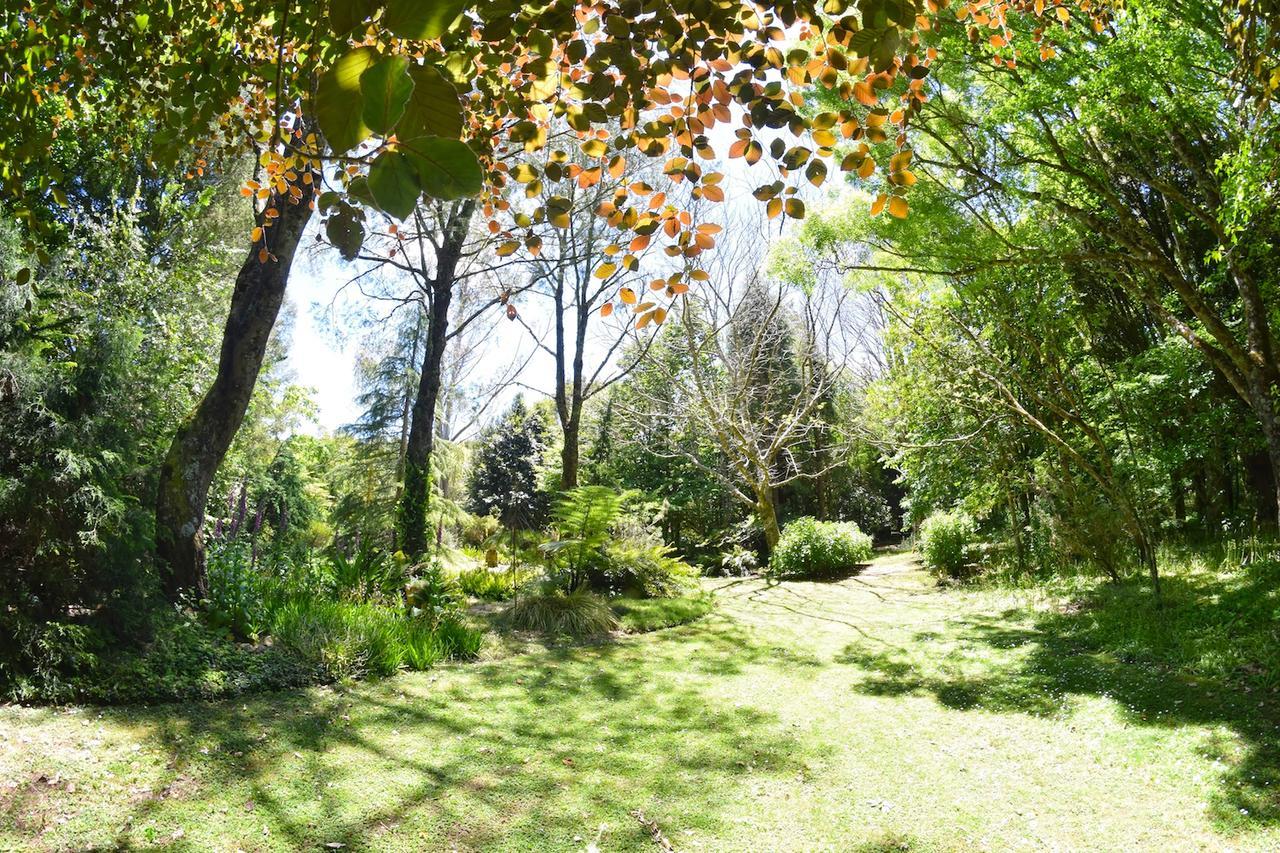 ストラトフォード Tepopo Gardens Rural Retreatヴィラ エクステリア 写真